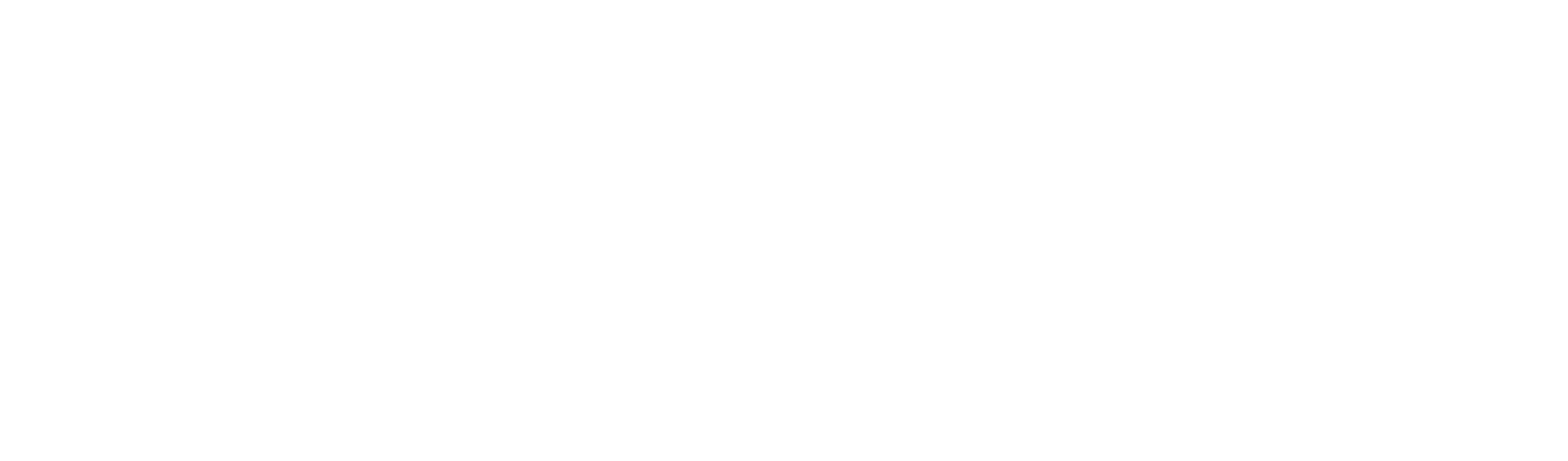 IguassuTec